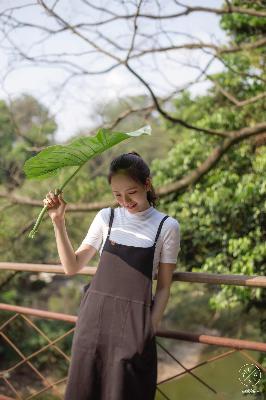 免费阅读老徐和陈思雅的小说？这些章节你绝对不能错过！